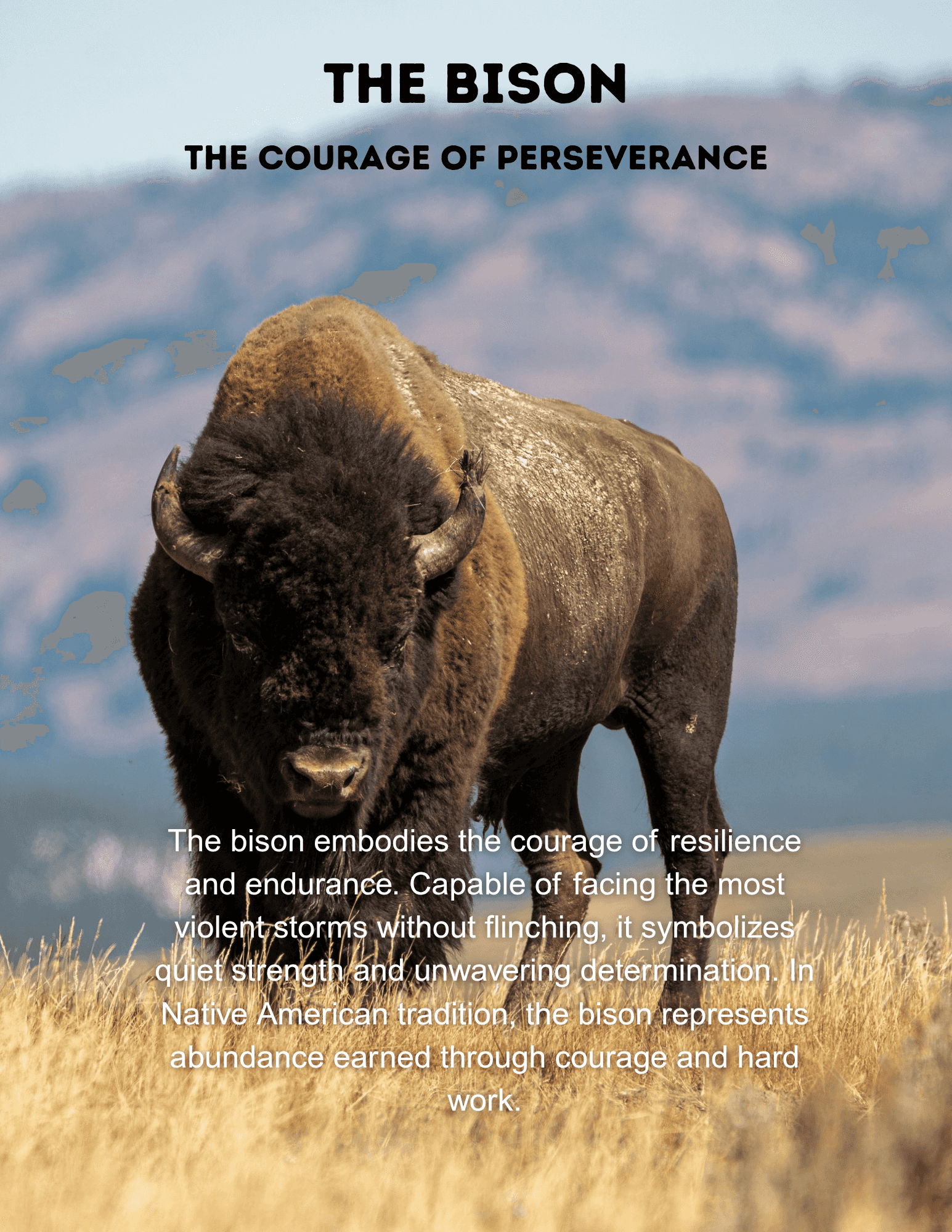 The Bison in Cleveland, OH