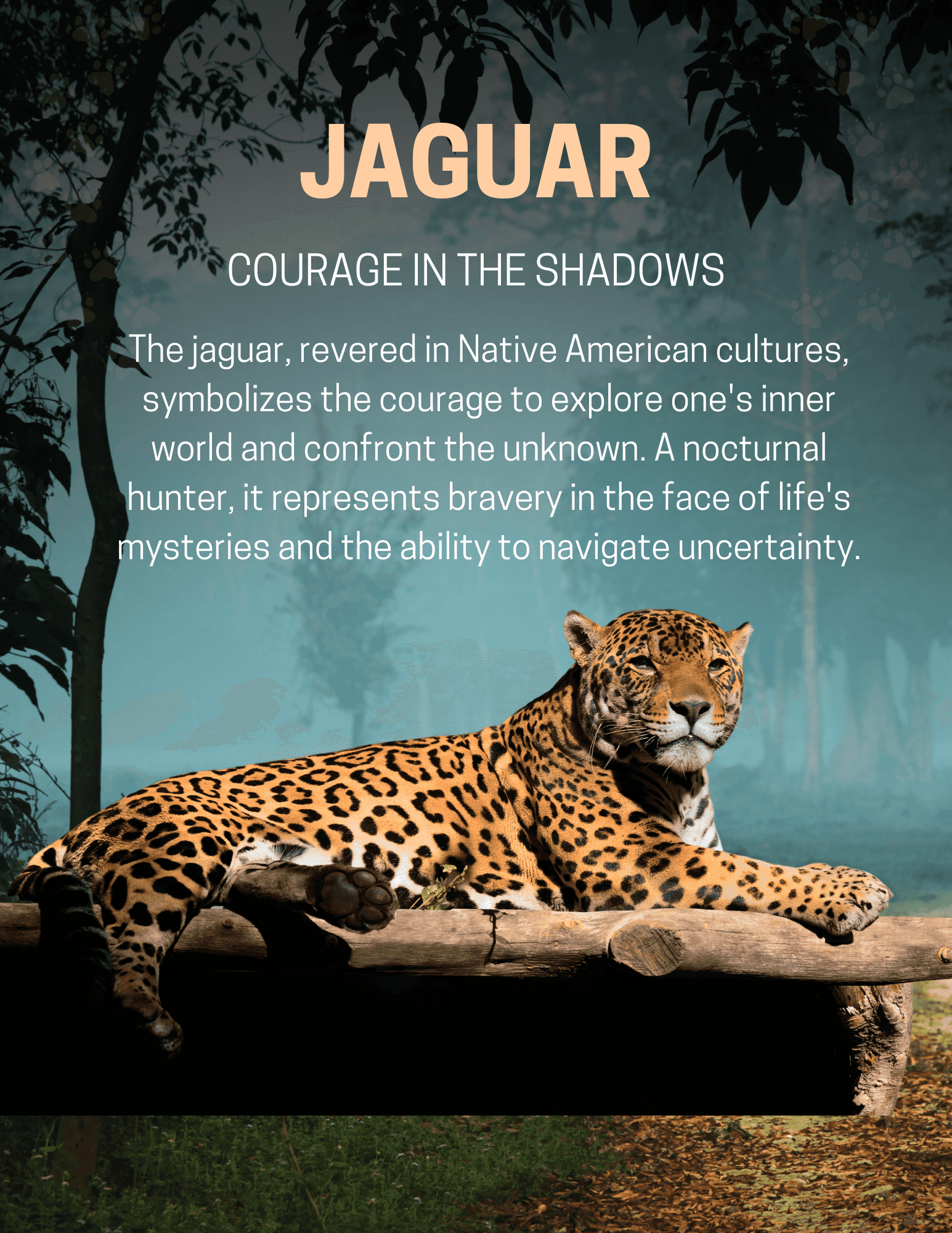 The Jaguar in Cleveland, OH